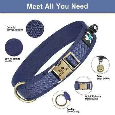 Didog Personalised Leather Dog Collar with Free Engraving