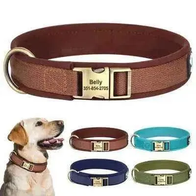 Didog Personalised Leather Dog Collar with Free Engraving